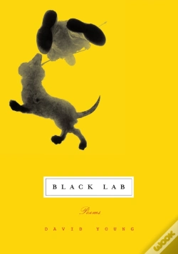 Capa do artigo Black Lab