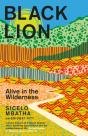 Black Lion - Preview