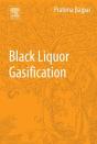 Black Liquor Gasification - Preview