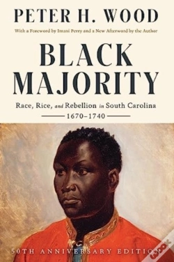 Capa do artigo Black Majority