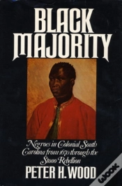 Capa do artigo Black Majority