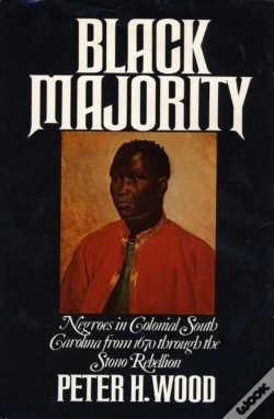 Capa do artigo Black Majority