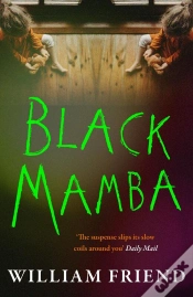Capa do artigo Black Mamba