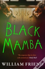 Capa do artigo Black Mamba