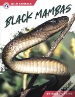 Black Mambas