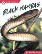 Black Mambas - Preview