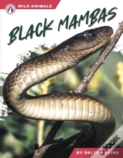 Capa do artigo Black Mambas