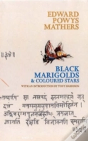 Capa do artigo Black Marigolds And Coloured Stars