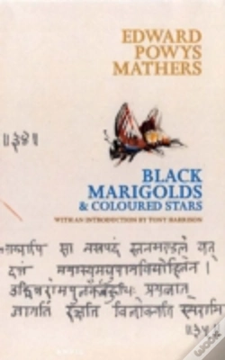 Capa do artigo Black Marigolds And Coloured Stars