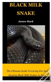 Capa do artigo Black Milk Snake