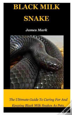 Capa do artigo Black Milk Snake