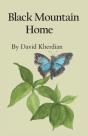 Black Mountain Home - Preview