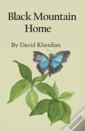 Capa do artigo Black Mountain Home