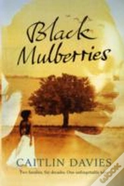 Capa do artigo Black Mulberries