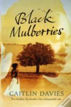 Capa do artigo Black Mulberries