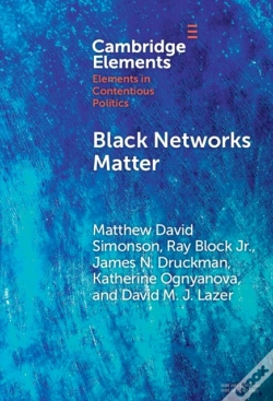 Capa do artigo Black Networks Matter