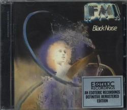 Capa do artigo Black Noise - CD