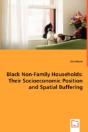 Black Non-Family Households - Preview