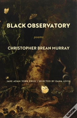 Capa do artigo Black Observatory