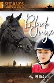 Capa do artigo Black Onyx