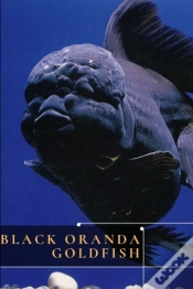 Capa do artigo Black Oranda Goldfish