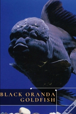 Capa do artigo Black Oranda Goldfish