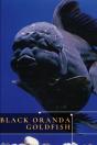 Black Oranda Goldfish - Preview