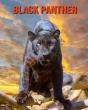 Black Panther - Preview