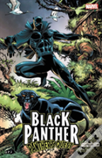 Black Panther: Panther'S Quest