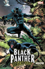 Black Panther: Panther'S Quest - Preview