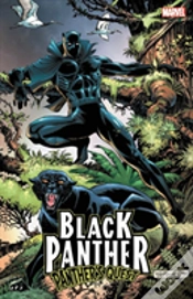 Capa do artigo Black Panther: Panther
