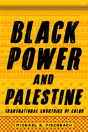 Black Power And Palestine - Preview