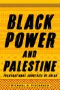 Black Power And Palestine - Preview