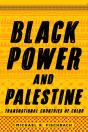 Black Power And Palestine - Preview