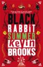 Black Rabbit Summer - Preview