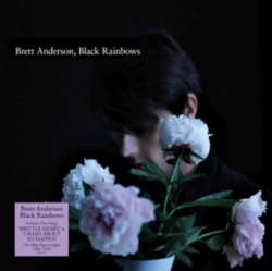 Capa do artigo Black Rainbows - Vinil