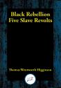 Black Rebellion - Preview