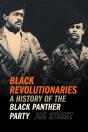 Black Revolutionaries - Preview