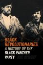 Black Revolutionaries - Preview