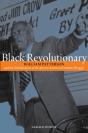 Black Revolutionary - Preview