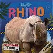 Black Rhino