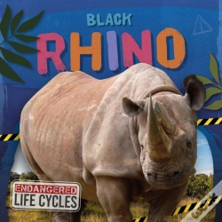 Capa do artigo Black Rhino