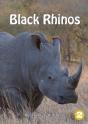Black Rhinos - Preview