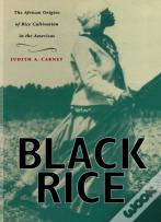 Black Rice