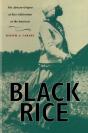 Black Rice - Preview