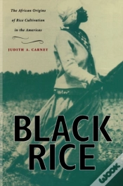 Capa do artigo Black Rice