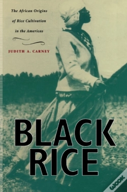 Capa do artigo Black Rice