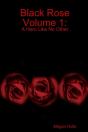 Black Rose Volume 1: A Hero Like No Other - Preview