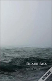 Capa do artigo Black Sea
