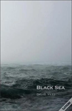 Capa do artigo Black Sea